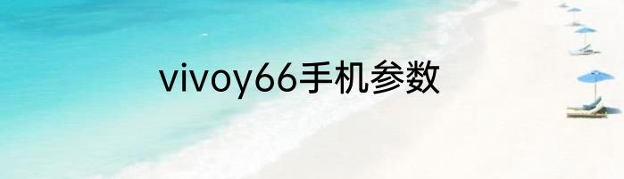 vivoy66手机参数