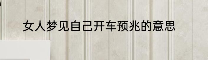 女人梦见自己开车预兆的意思