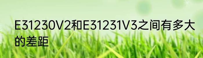 E31230V2和E31231V3之间有多大的差距