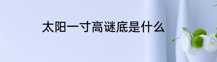 太阳一寸高谜底是什么