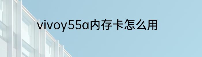 vivoy55a内存卡怎么用