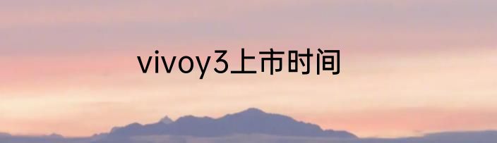 vivoy3上市时间