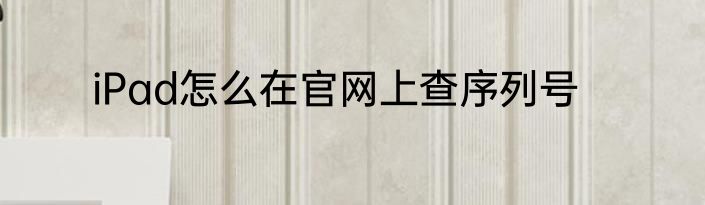 iPad怎么在官网上查序列号
