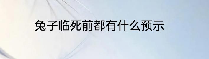 兔子临死前都有什么预示
