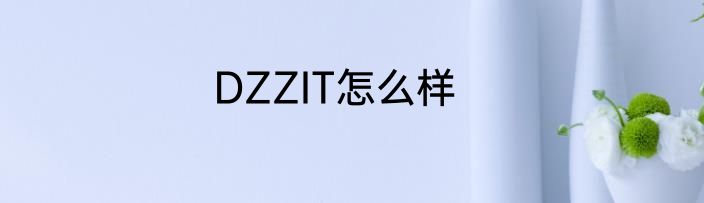 DZZIT怎么样