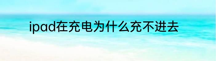 ipad在充电为什么充不进去