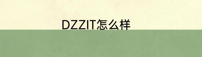 DZZIT怎么样