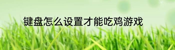键盘怎么设置才能吃鸡游戏