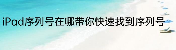 iPad序列号在哪带你快速找到序列号