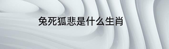 兔死狐悲是什么生肖