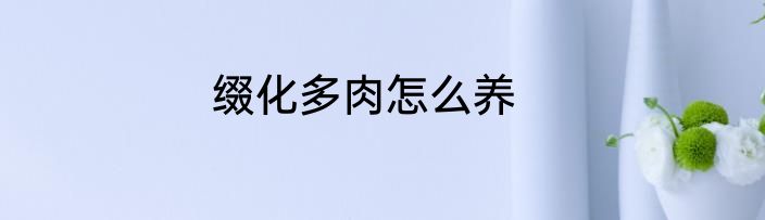 缀化多肉怎么养