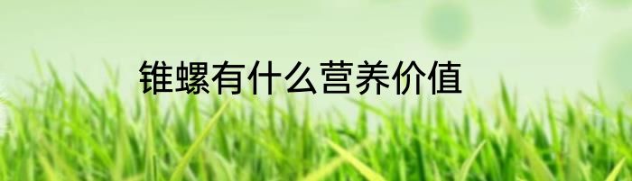 锥螺有什么营养价值