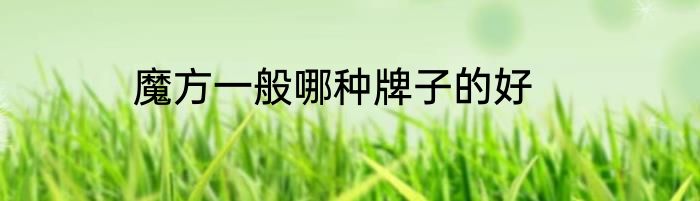 魔方一般哪种牌子的好