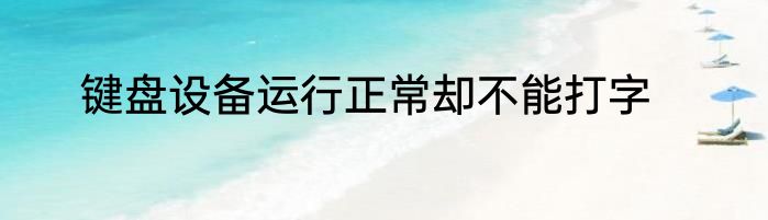 键盘设备运行正常却不能打字