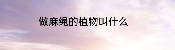 做麻绳的植物叫什么