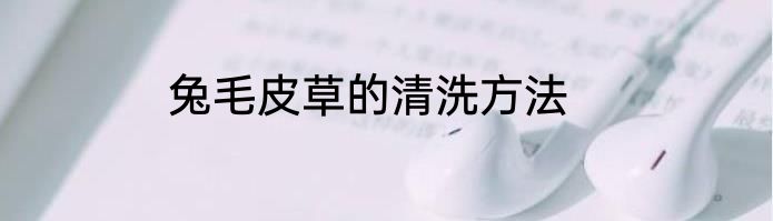 兔毛皮草的清洗方法