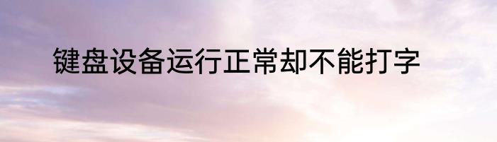 键盘设备运行正常却不能打字