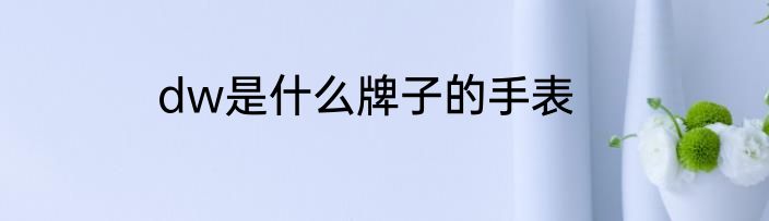 dw是什么牌子的手表