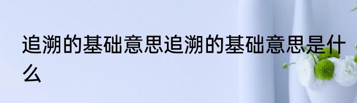 追溯的基础意思追溯的基础意思是什么