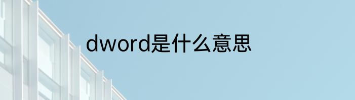 dword是什么意思