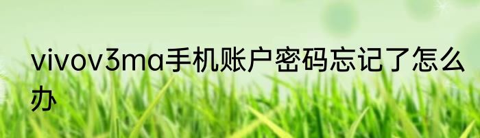vivov3ma手机账户密码忘记了怎么办