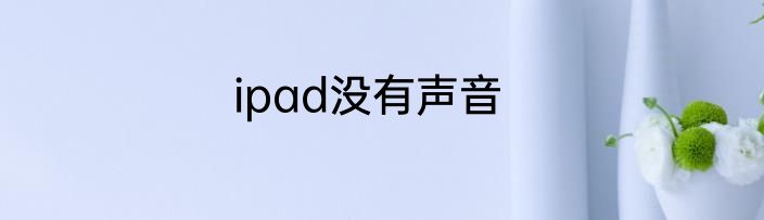 ipad没有声音