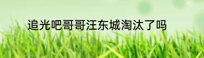 追光吧哥哥汪东城淘汰了吗