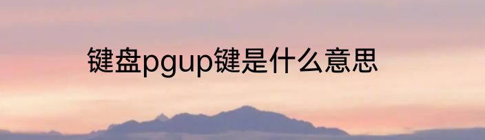 键盘pgup键是什么意思