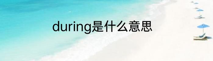during是什么意思