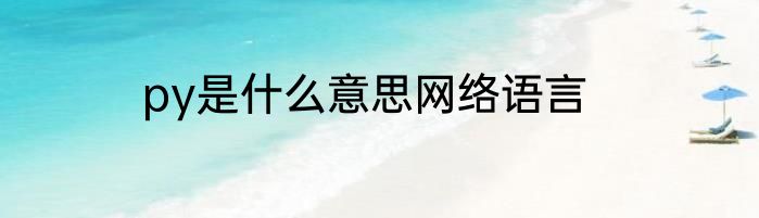 py是什么意思网络语言