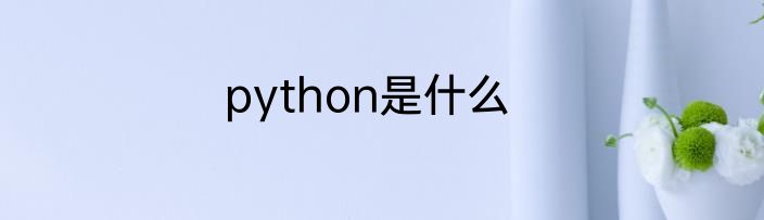 python是什么