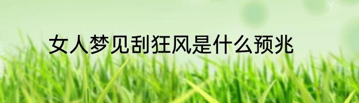 女人梦见刮狂风是什么预兆