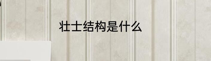 壮士结构是什么