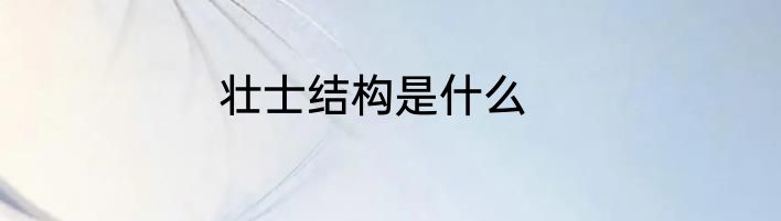 壮士结构是什么