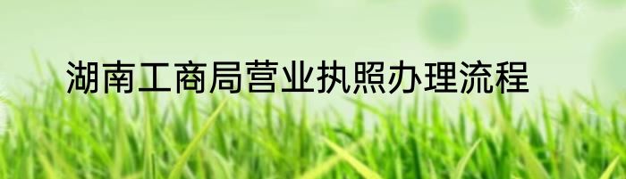 湖南工商局营业执照办理流程