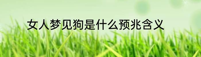 女人梦见狗是什么预兆含义