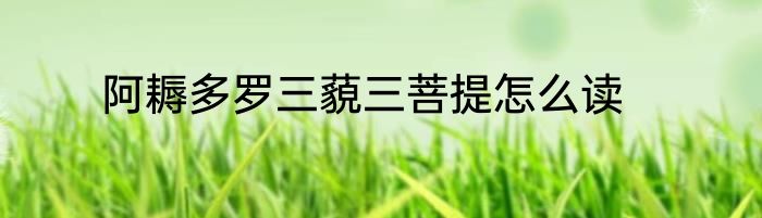 阿耨多罗三藐三菩提怎么读