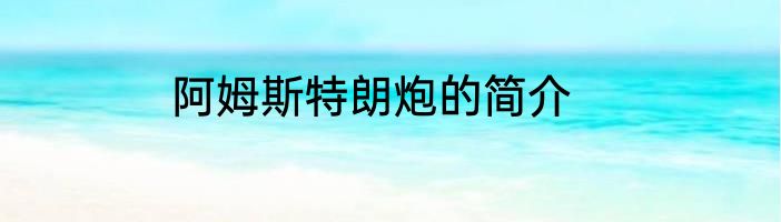 阿姆斯特朗炮的简介