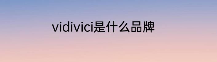 vidivici是什么品牌