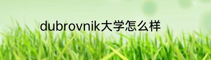 dubrovnik大学怎么样