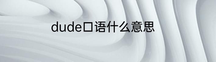 dude口语什么意思