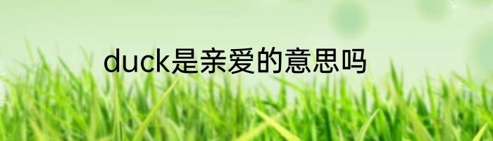 duck是亲爱的意思吗