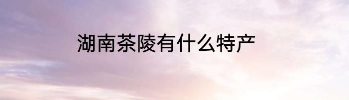 湖南茶陵有什么特产