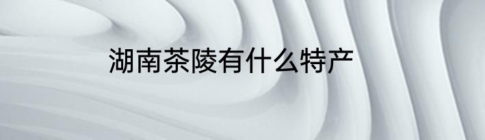 湖南茶陵有什么特产
