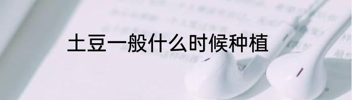 土豆一般什么时候种植