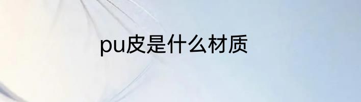 pu皮是什么材质