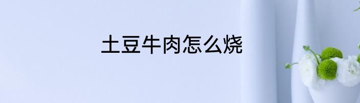 土豆牛肉怎么烧