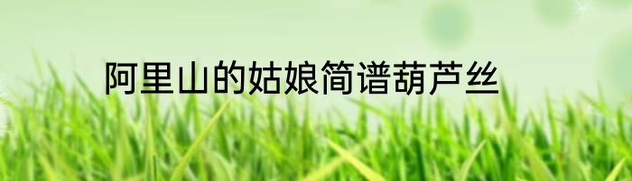 阿里山的姑娘简谱葫芦丝