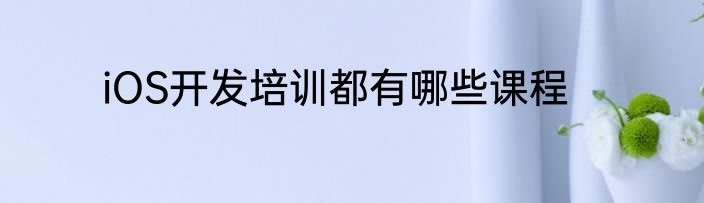 iOS开发培训都有哪些课程