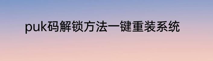 puk码解锁方法一键重装系统